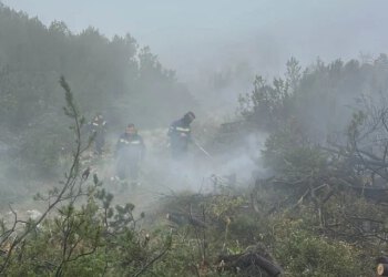 Na Čvrsnici i dalje aktivna žarišta, vatrogasci na terenu