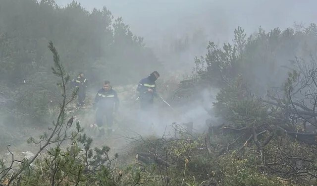 Na Čvrsnici i dalje aktivna žarišta, vatrogasci na terenu