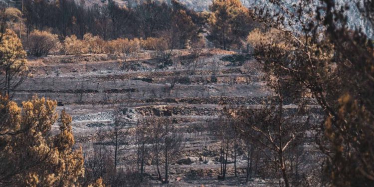 Nakon tragedije u Omišu vijećnici traže odgovore: Tko je zakazao i kako će se pomoći stradalima?