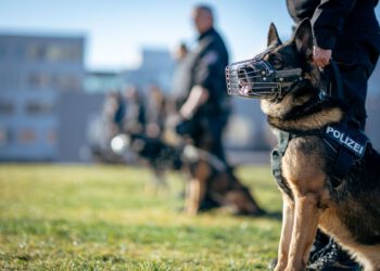 Novi incident u Njemačkoj, specijalci na nogama: Policija uhitila dvije osobe