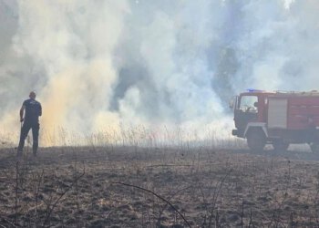 Obranjene kuće i objekti kod Gruda, izgorjelo 16 hektara šume