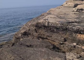 PLAŽA ZA SVE Nakon uklanjanja nekadašnje oznake FKK, na Lokrumu dopušteni i nudizam i kupaći kostimi. Legaz: “Ovo nije po Zakonu”