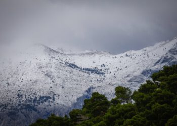Pada snijeg u susjedstvu, prizori iznenadili mnoge