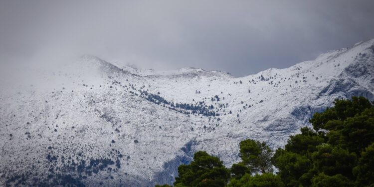 Pada snijeg u susjedstvu, prizori iznenadili mnoge