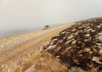 Požar iznad duvanjskih naselja pod nadzorom, borba s vatrom prema Trebiševu i Zlopolju