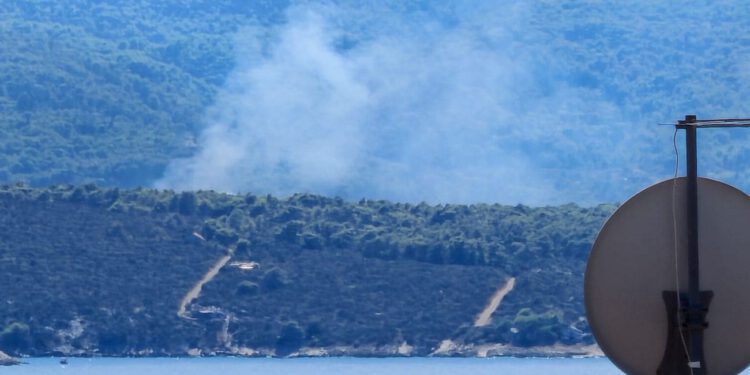 Požar otvorenog prostora u Starogradskom polju, intervenirali vatrogasci iz Starog Grada i Jelse