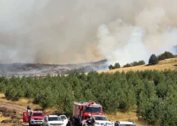 Požar ugrožava Kupres, Tomislavgrad i Prozor-Ramu