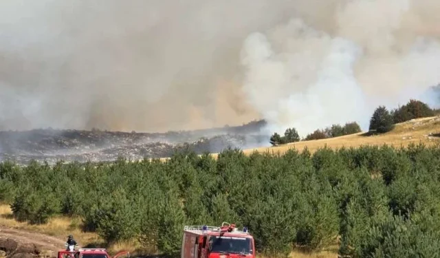 Požar ugrožava Kupres, Tomislavgrad i Prozor-Ramu