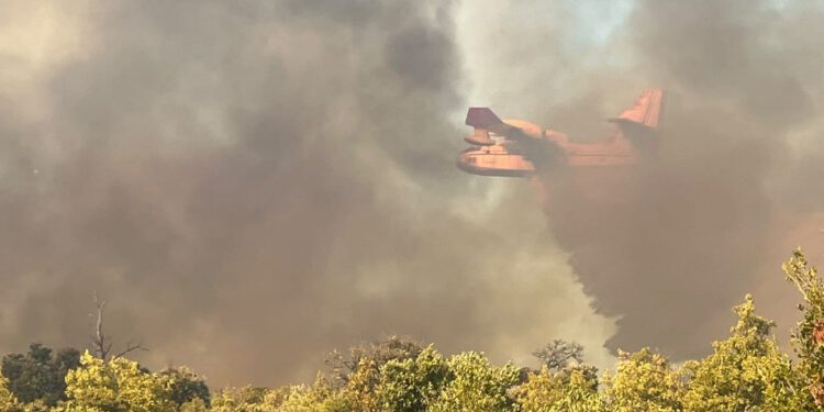 Situacija kod Sevida ne izgleda dobro. Pogledajte fotografije s požarišta