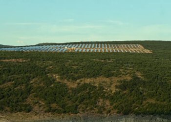 Sunce za investitore, sjena nad poljoprivredom: Gacko i Nevesinje ustali protiv solarnih parkova