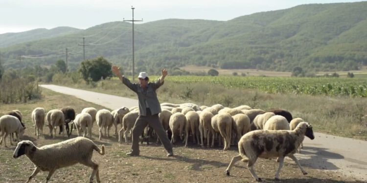 U Zlatnim vratima počinje Putujući festival makedonskog filma