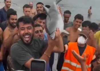 Ubili su ga migranti, izvukli iz mora i udarili štapom po glavi
