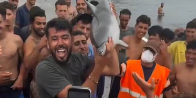 Ubili su ga migranti, izvukli iz mora i udarili štapom po glavi