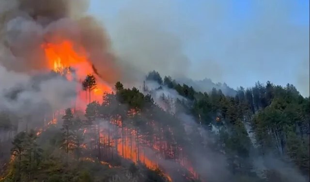 VIDEO Alarmantno kod Konjica: Požar se širi prema kućama, traži se pomoć iz zraka