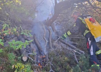 VIDEO Požar na području Čvrsnice i Blidinja, vatrogasci još na terenu