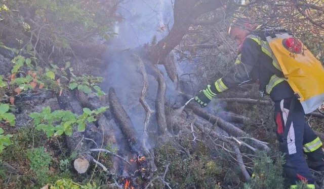 VIDEO Požar na području Čvrsnice i Blidinja, vatrogasci još na terenu