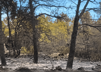 VIDEO Prošli smo kroz opustošeni Brač: Crnilo dokle pogled seže, pogledajte što je ostalo nakon vatrene stihije
