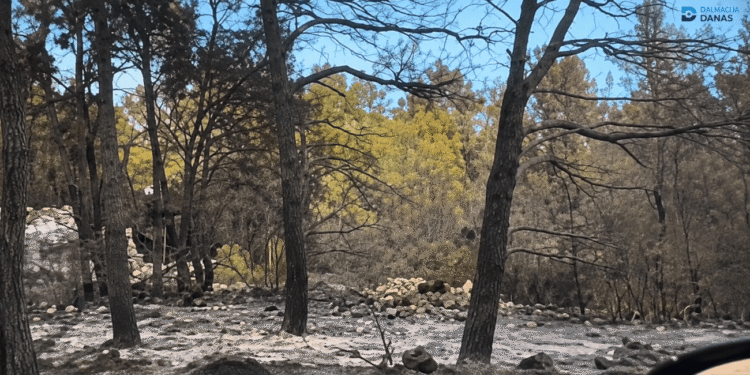 VIDEO Prošli smo kroz opustošeni Brač: Crnilo dokle pogled seže, pogledajte što je ostalo nakon vatrene stihije