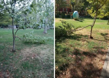 Vandali ponovno udarili na park Zrinjevac: Polomljena stabla mlade trešnje