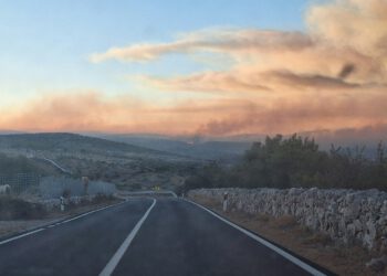 Veliki požar i dalje aktivan: 176 vatrogasaca u borbi sa stihijom