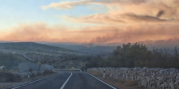 Veliki požar i dalje aktivan: 176 vatrogasaca u borbi sa stihijom