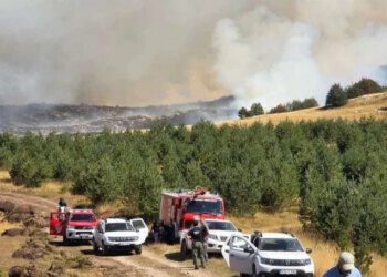 Veliki požar prijeti ulasku u visoke šume Vran planine