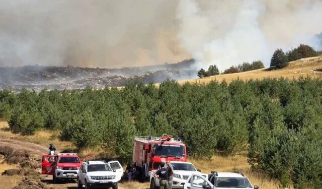 Veliki požar prijeti ulasku u visoke šume Vran planine