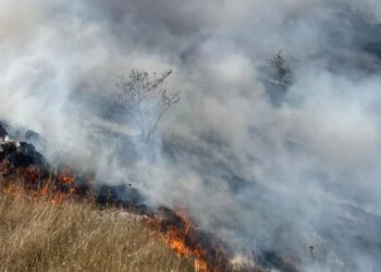 Vjetar spustio požar na Hansko polje kod Rujišta, mostarski vatrogasci poručuju: ‘Katastrofa’