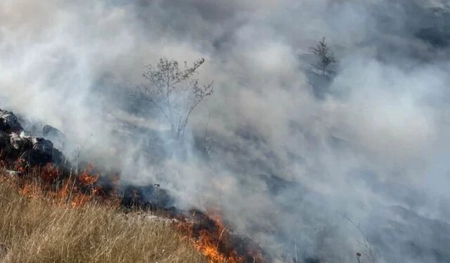 Vjetar spustio požar na Hansko polje kod Rujišta, mostarski vatrogasci poručuju: ‘Katastrofa’