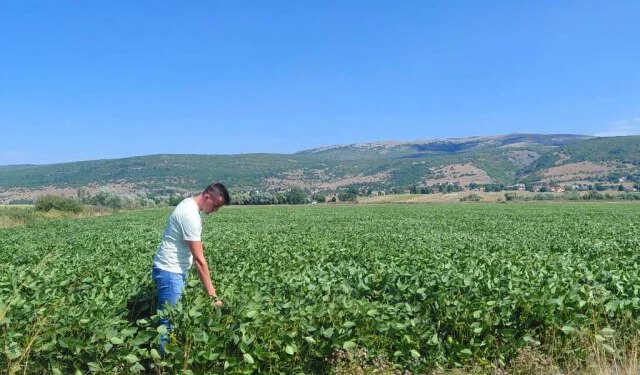 Vratio se iz Njemačke u Livno i danas obrađuje 230 hektara zemlje