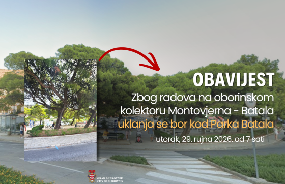 Zbog izgradnje oborinskog kolektora uklanja se bor na ulazu u Park Batala