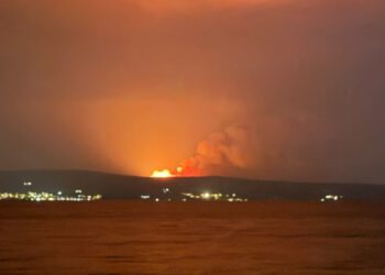 Izbio požar na Braču, strelovito brzo se širi