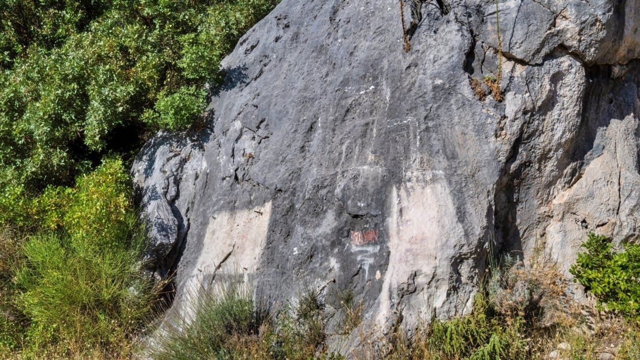 kozjak silvan01