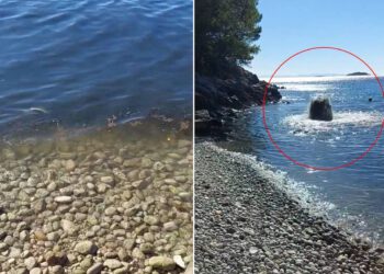 „GEJZIR GOVANA” U OREBIĆU: Pukla kanalizacija tik uz plažu? Mještani ogorčeni, a nadležni se ne javljaju!
