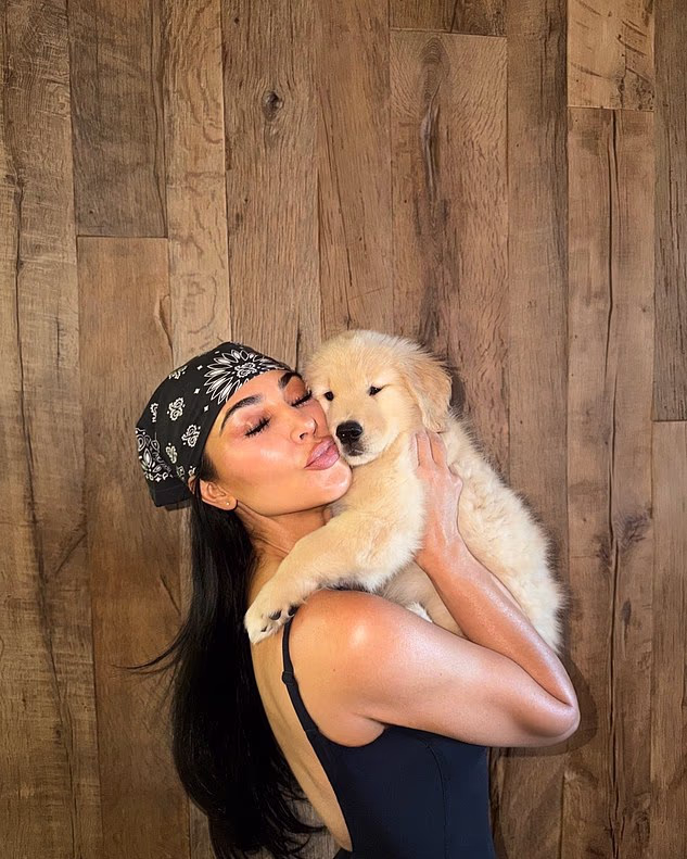 Kardashianova obitelj ima Halo već nekoliko mjeseci, jer je prvi put otkrila postojanje psića u objavi na Instagramu od kraja srpnja