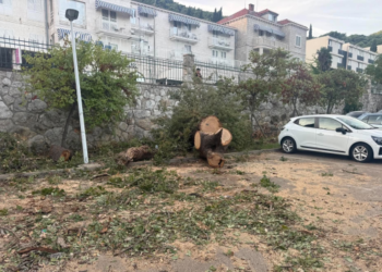 Dok drugi spavaju, oni rade: Vatrogasci cijeli dan i pola noći sanirali stablo u Uvali
