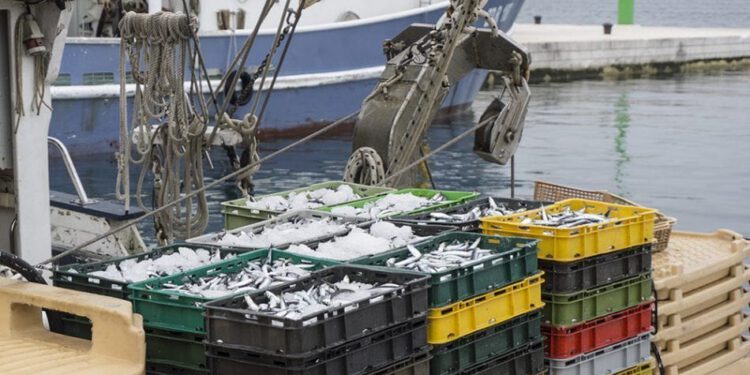 Hrvatski ribari ostvaruju 14 posto ulova EU-a u Sredozemlju i Crnom moru