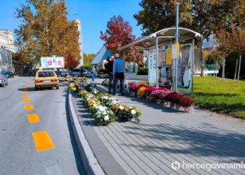 Koliko košta cvijeće uoči Svih svetih? Mostarski cvjećari otkrili cijene