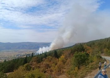 Lokaliziran požar kod Prološca: Vatrogasci ostaju cijelu noć zbog opasnosti od ponovnog aktiviranja