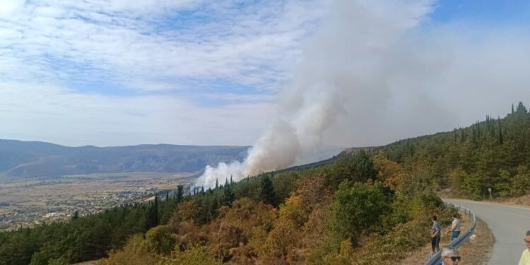 Lokaliziran požar kod Prološca: Vatrogasci ostaju cijelu noć zbog opasnosti od ponovnog aktiviranja