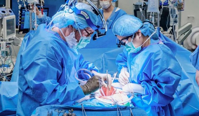 Na novi organ čekaju i više od 20 godina, u FBiH ove godine samo 18 transplantacija