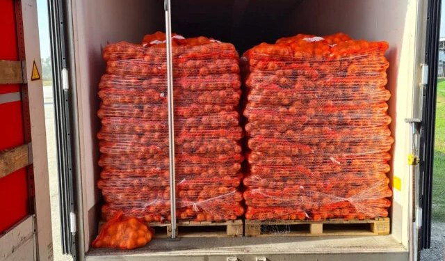 Na tržištu se pojavio lažni glamočki krumpir, evo kako ga prepoznati
