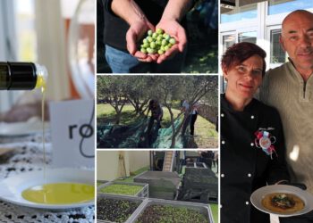 Od težačke marende do mladog ulja i priče KRK MADE: Ovaj hrvatski otok u jesen postaje prava turistička bajka, a iza svega stoji posebna priča
