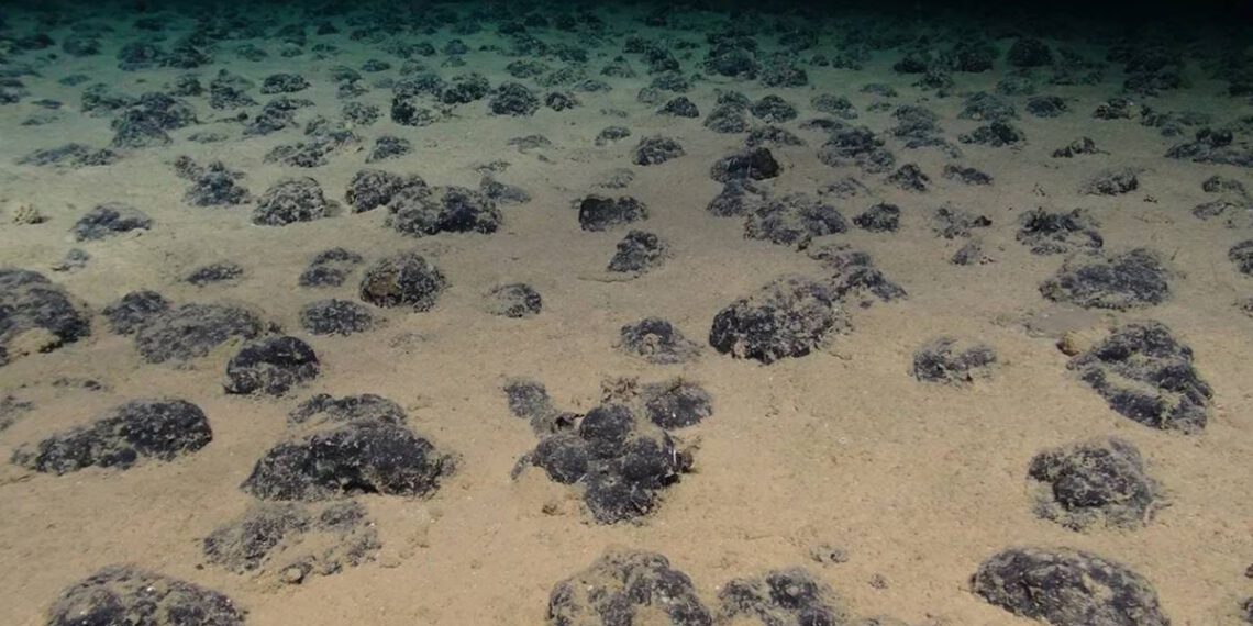 Otkriveno više od 11.000 potpuno nepoznatih virusa u podmorju Tihog oceana kojem prijeti rudarenje!