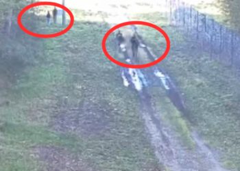 Ovi turisti će zauvijek pamtiti kad su pokušavli proviriti preko granice