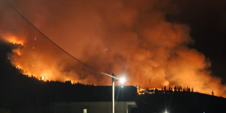 POŽAR NA JUGU DALMACIJE ZATVORIO DRŽAVNU CESTU Na terenu oko 60 vatrogasaca, traje velika borba s vatrom