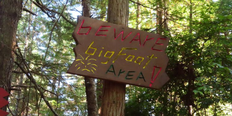 Skriva li se Bigfoot u New Jerseyju? Ovi lovci na Sasquatch imaju predosjećaj