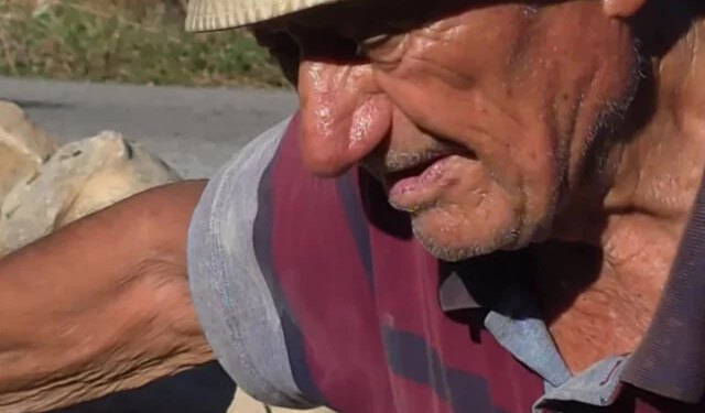 VIDEO Hercegovac Bono iz Izbična u 101. godini zida suhozid, vozi auto i već planira što će saditi dogodine