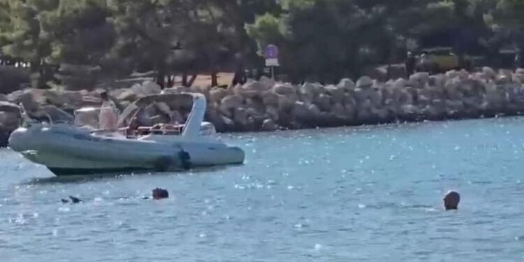 VIDEO Nemile scene na poznatoj plaži: “Bili su bahati, tamo je bilo djece. Netko je mogao stradati”