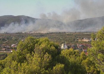 VIDEO Vatrogasci obranili kuće kod Vida, četiri kanadera na požarištu: “Situacija je trenutno povoljna”